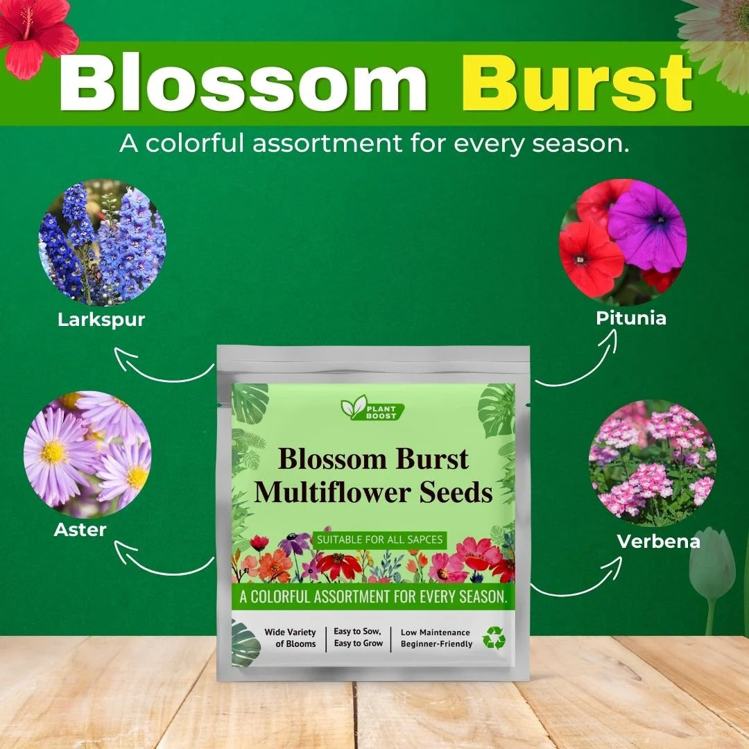 BlossomBurst™ Combo – Boost + Blossom Starter Pack