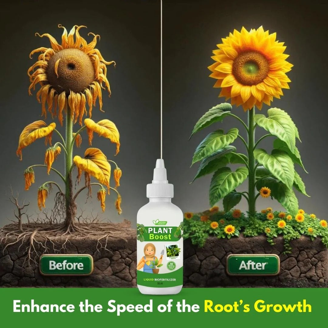 BlossomBurst™ Combo – Boost + Blossom Starter Pack