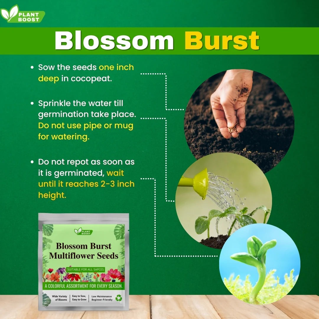 BlossomBurst™ Combo – Boost + Blossom Starter Pack